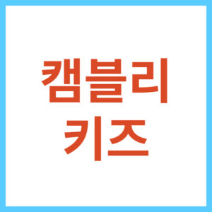캠블리 화상 영어