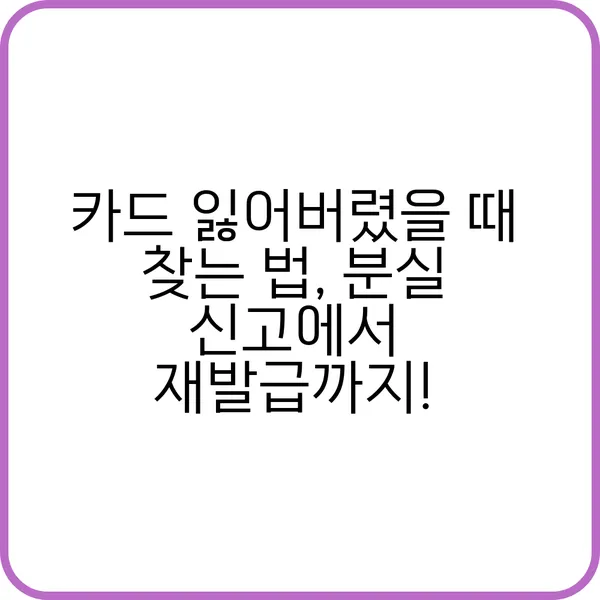 카드 잃어버렸을 때 찾는 법 요약