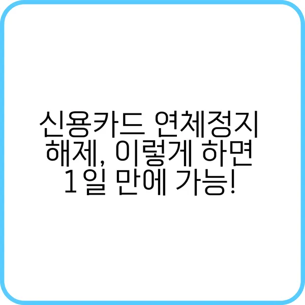 신용카드 연체정지 해제 절차