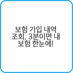 보험 가입 내역 조회 청구법