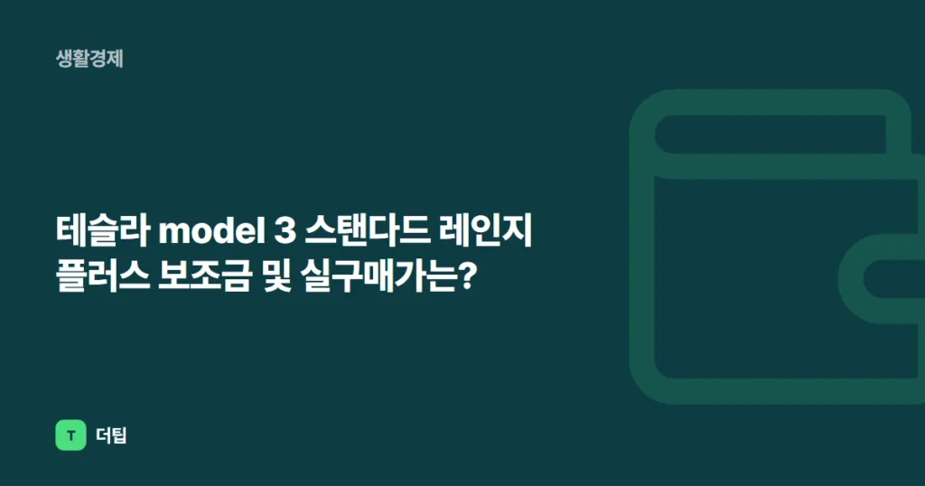 테슬라 model 3 스탠다드 레인지 플러스 보조금 및 실구매가는?