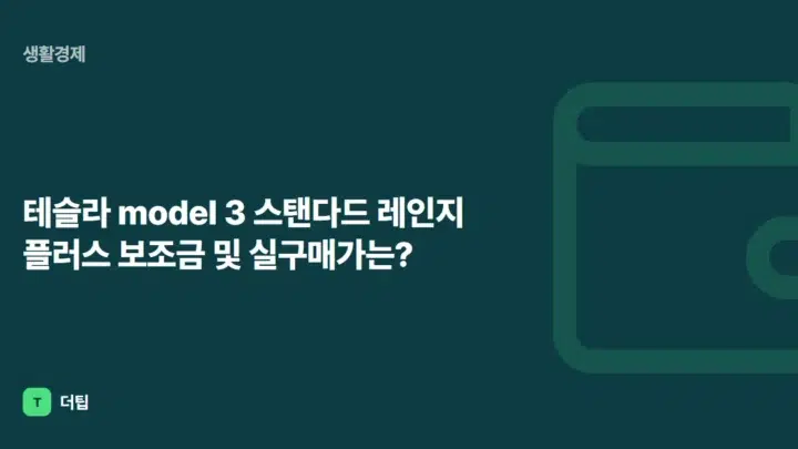 테슬라 model 3 스탠다드 레인지 플러스 보조금 및 실구매가는?