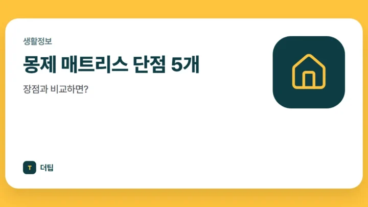 몽제 매트리스 단점 5개, 장점과 비교하면?