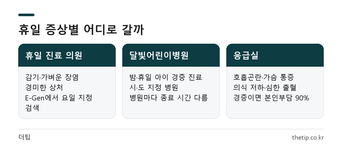 일요일 휴일 진료 의원, 달빛어린이병원, 응급실 이용 기준 비교