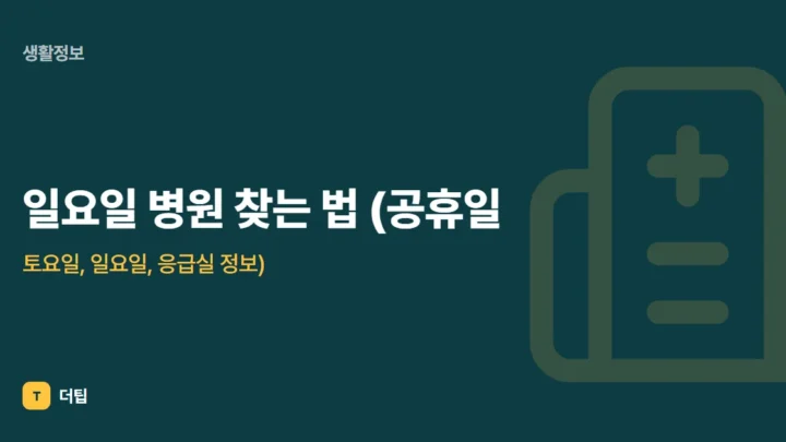 일요일 병원 찾는 법 (공휴일, 토요일, 일요일, 응급실 정보)