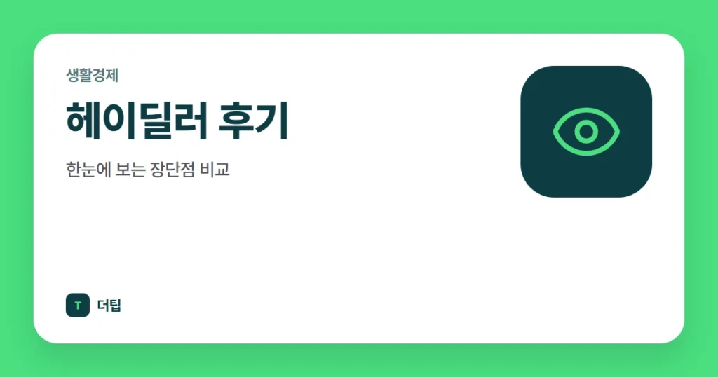 헤이딜러 후기, 한눈에 보는 장단점 비교