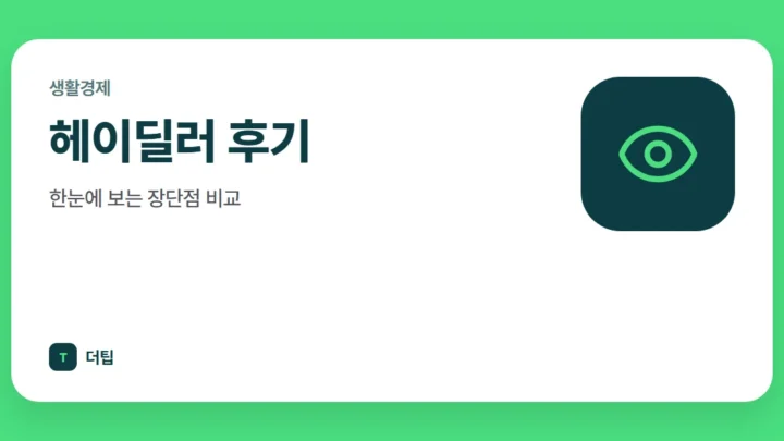 헤이딜러 후기, 한눈에 보는 장단점 비교